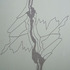 20130325073057-eye_etc_5b