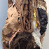 20130325204124-detail2_transfigure