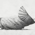 20130326141547-ivanseal_ors-devurth-at-seven-swingerbuffetbit-_2011_1024x576px-620x348