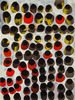 20130326142925-olives