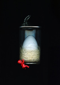 20130327000623-nest_withdrawal