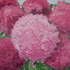 20130327192121-artslant_floral