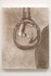 Cortson_inside_a_drop_11x14_email