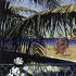 20130328020845-gordon_rayner_bruja_de_la_manana_morning_witch_puerto_escondido_1491_366