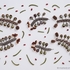 20130328034249-connelly_mark_crawling_bugs0932-wp