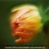 Motive_from_flora_0068-1165364333l-c