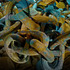 20130328182924-kinky_chain_on_rocks