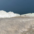 20130328192115-treesoflife1