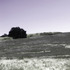 20130328192935-kyandow2