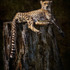 20130328223759-cheetah