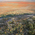 20130329192613-hilltop
