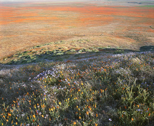 20130329192613-hilltop