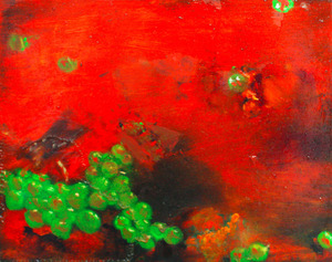 20130329193344-ocean_moths_color_corrected_smaller