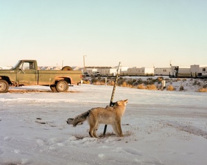 Dog God | Man Camp | Big Piney, WY,Thomas Macker