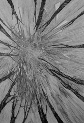 20130330152622-renata_jaworska___untitled___drawing_on_paper___2012