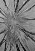 20130330152622-renata_jaworska___untitled___drawing_on_paper___2012