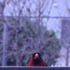 20130330203037-ab3