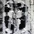 20130330203224-crigau_painting