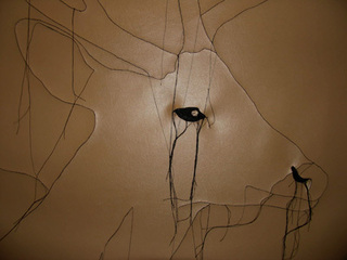 Phantom Flesh: Deer,Liz Young