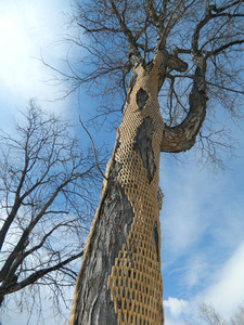 20130401023617-gerrystecca