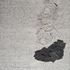 20130402153956-collage_onmymind_01