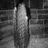 20130402154555-tereza-web