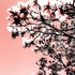 20130403151338-dreams-1