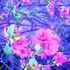 20130403151533-seeing_the_unseen-1