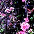 20130403151721-insite-1