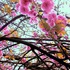 20130403152440-in_the_gardens_of_paradise-1
