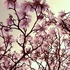 20130403154031-time_will_ease