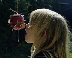 R++dland_apple_06