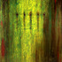20130404160811-mholzinger_deepforest