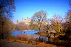 20130405000116-cimg4430_cprk_2012_lomo_hrs_20x30