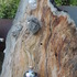 20130405003205-dscn2231