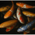 20130405061305-image17