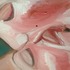 20130408084933-image