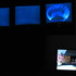 20130408212957-the_invisible_wallpaper_003