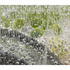 20130409022952-vince_gonzales_paella_triptych__copy