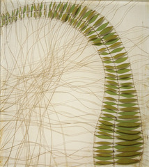 Bending Fern,Karen Sikie