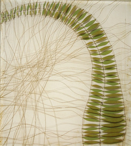 20130409024124-karensikie-bendingfern