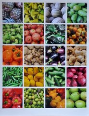 Abundance,Rebecca Harvey Pollock