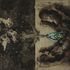 20130410143014-sky_mg_3479