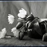 20130411101902-jodie_carey__elegy_2012_-_digital_print_from_glassplate_negative_ca