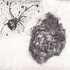 20130411141954-ralph_overill_egg_sack_etching