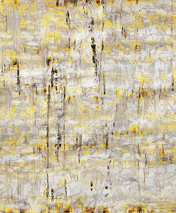 20130411234556-c-1323-crop_web
