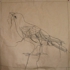 Littlebird