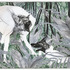 20130412160108-12_wolfprintweb