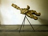 20130412164626-sahej_rahal_princeling