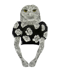 20130603174938-athene_cunicularia